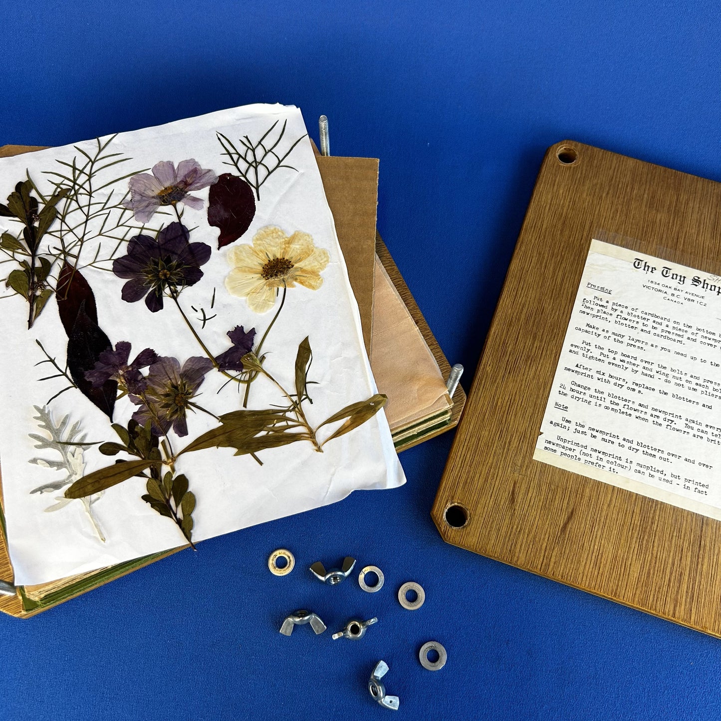 craft flower press kit