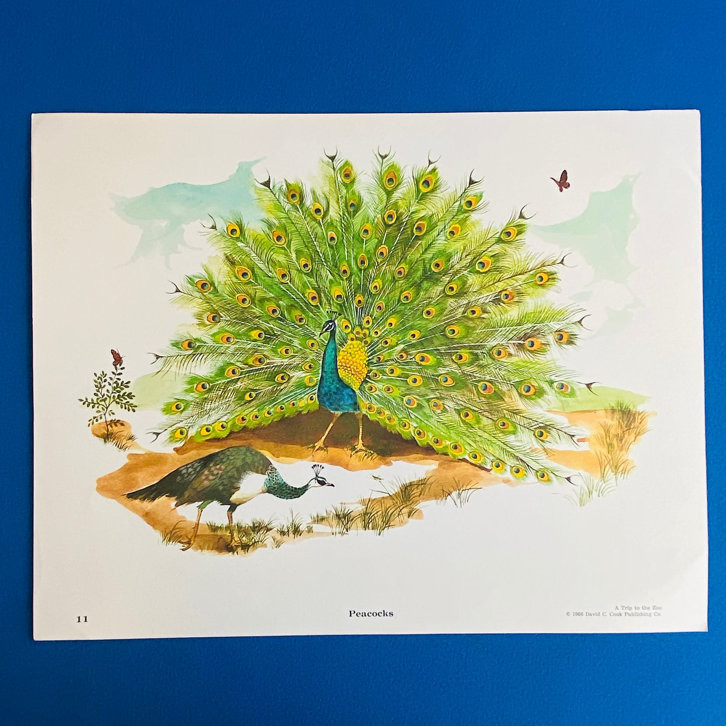 vintage prints for kids by cook publishing