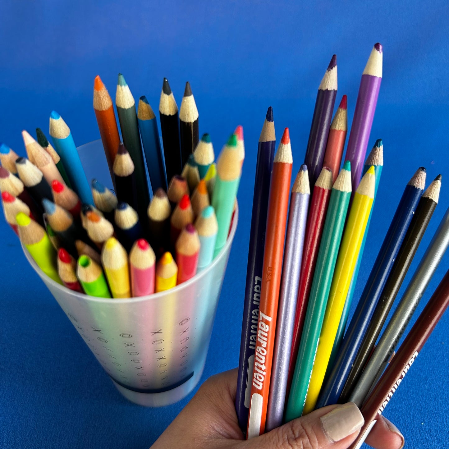 laurentien coloured pencil set