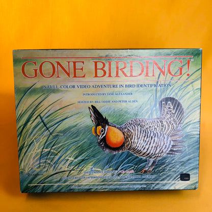 gone birding! vcr game by rupicola
